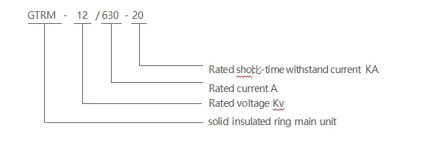 GTRM-12 Solid insulated ring main unit (5)